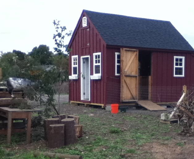 LexFarm goat barn