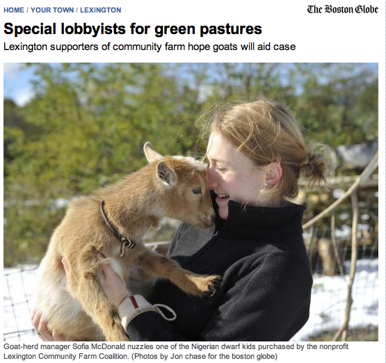 Boston Globe photo by Jon Chase of Sofia with one of the goats
