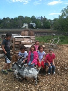 visitors to LexFarm goat yard