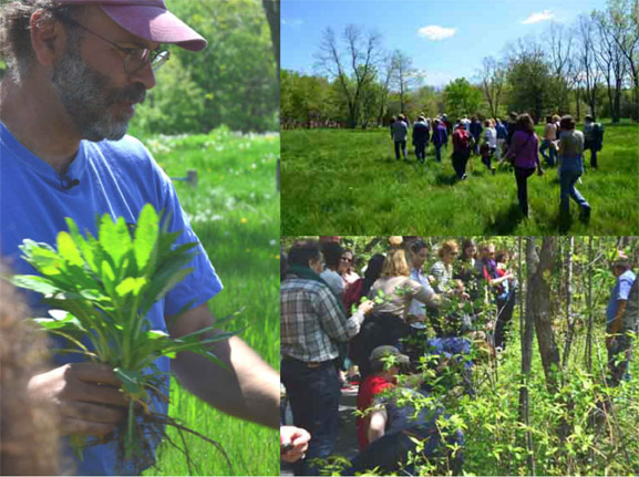 Russ Cohen leads Wild Edible walk