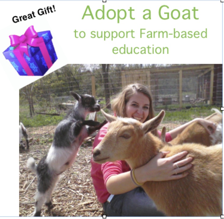 Adopt a Goat flyer