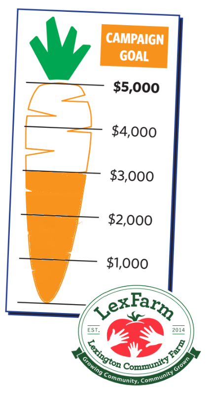 fundraiser with carrot thermometer