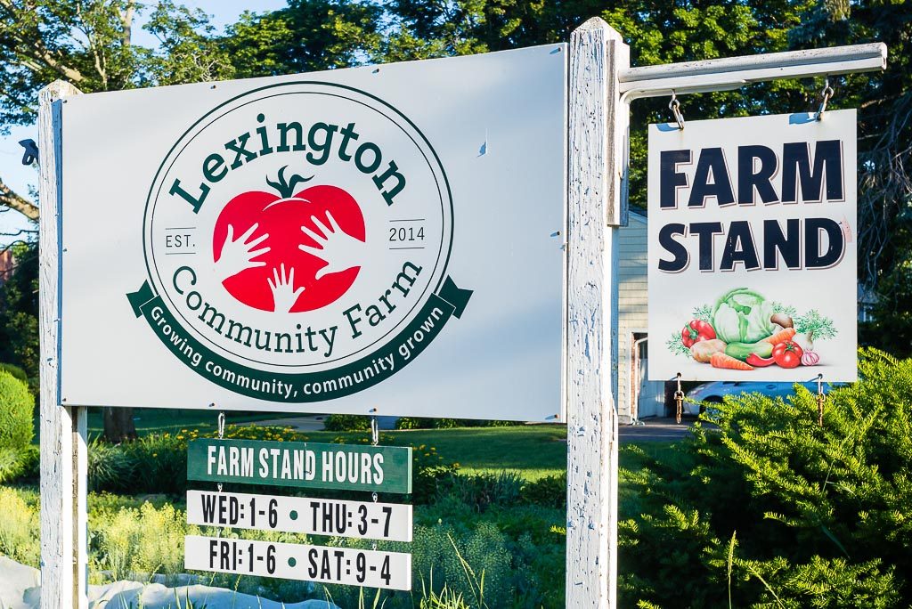 Farm Store Open for Season and CSA Start Date June 12