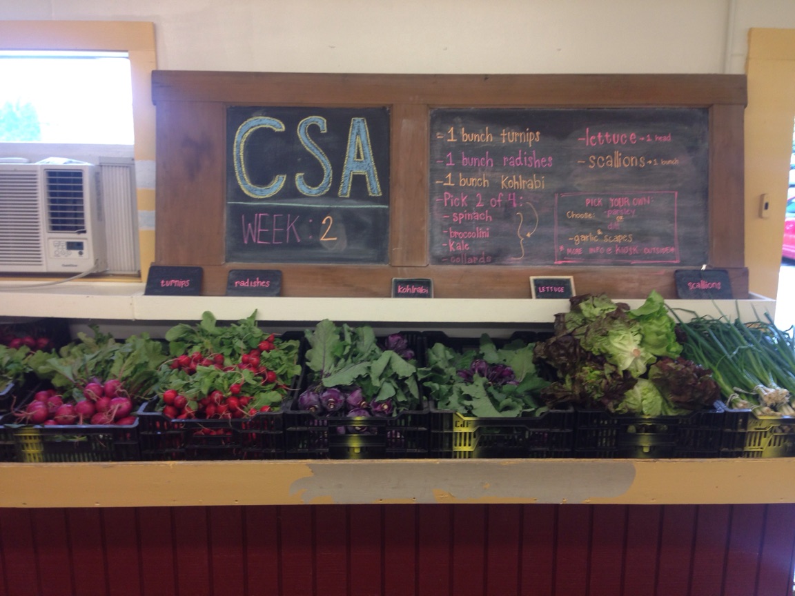 CSA Shares Selling Fast