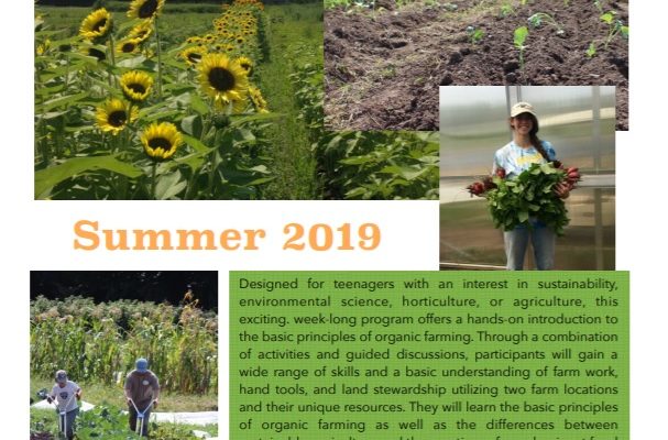 Sign Up for July Teen Farmer Program
