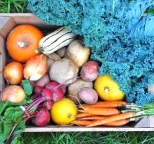 Box of winter storage vegetables like that found in the Winter CSA share.