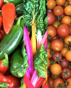 Pictures of a smattering of vegetables likely to be found in a summer CSA share.