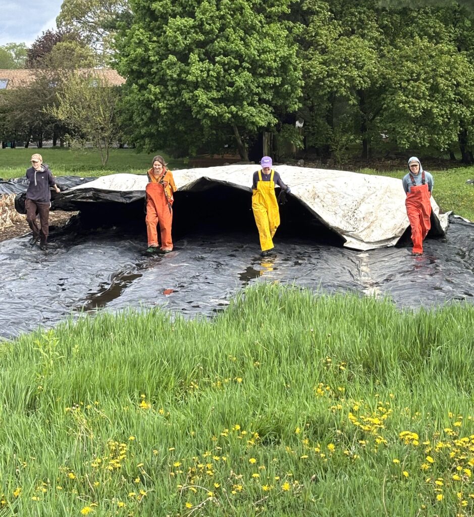 A team of farmers folding a tarp.