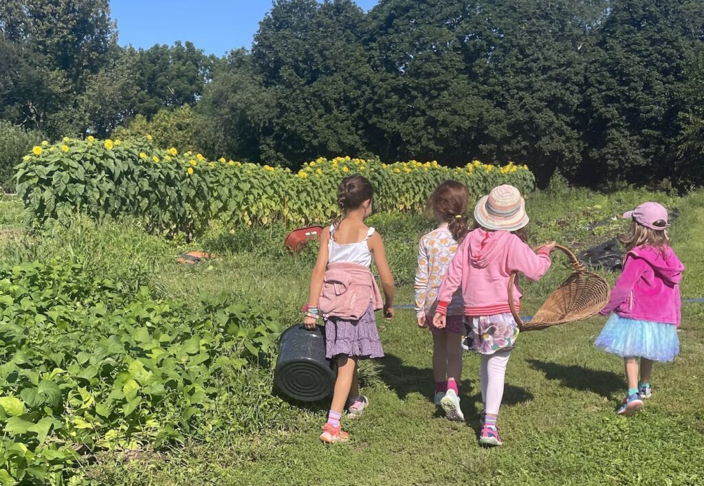 Children walking in the farm fields on a Fall day
