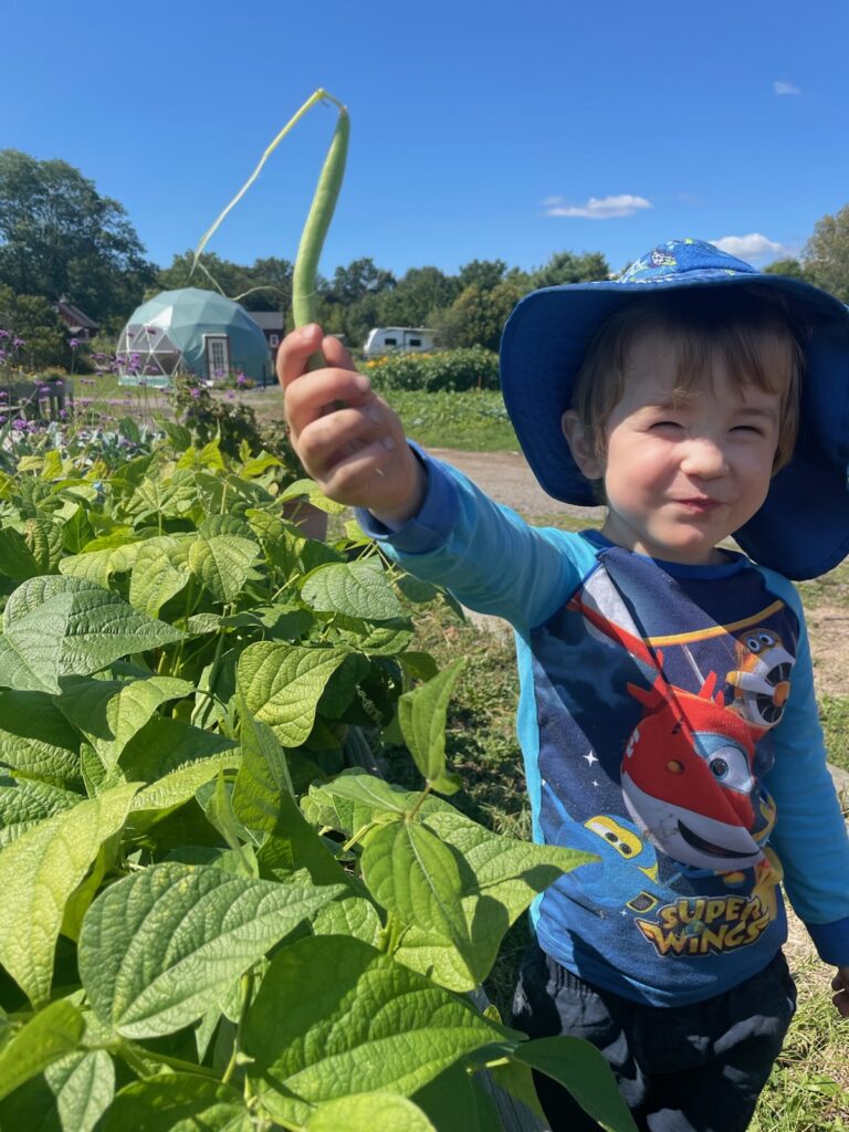 A child excited about vegetables at LexFarm