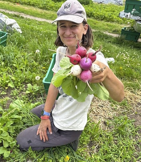 farmer kneeling in field holding up bunch of multi-colored  radishes