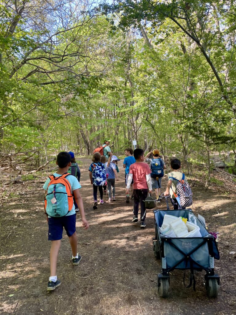 A group of children walking down a wooded path