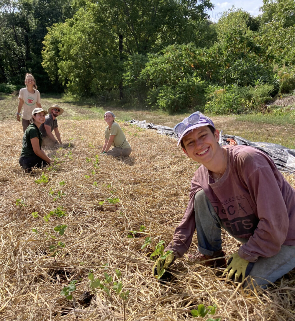 employment-farming_IMG_9207 (1) smiling farmers working in mulched fields