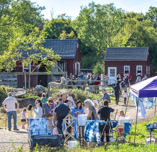 adults and children  near barns and animals