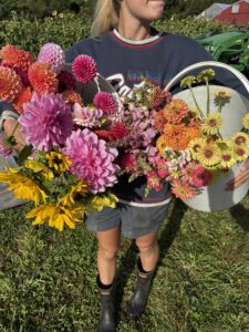 Flower harvest at LexFarm summer 2026